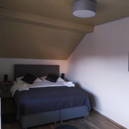 Apartment Trubarjeva33, Near Ljubljana, Free Parking Velike Lasce Dış mekan fotoğraf