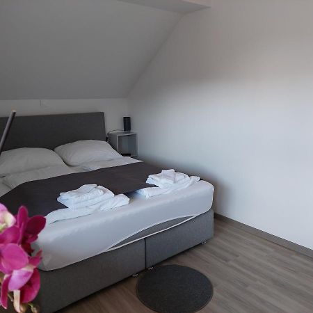 Apartment Trubarjeva33, Near Ljubljana, Free Parking Velike Lasce Dış mekan fotoğraf