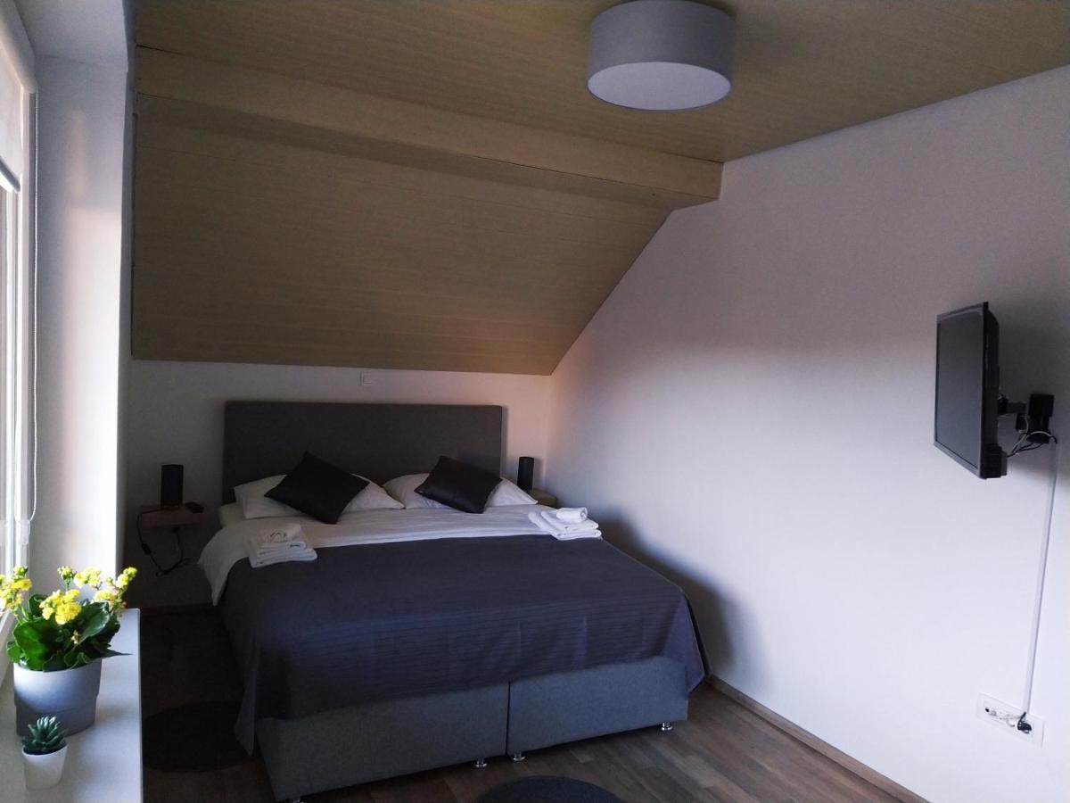Apartment Trubarjeva33, Near Ljubljana, Free Parking Velike Lasce Dış mekan fotoğraf