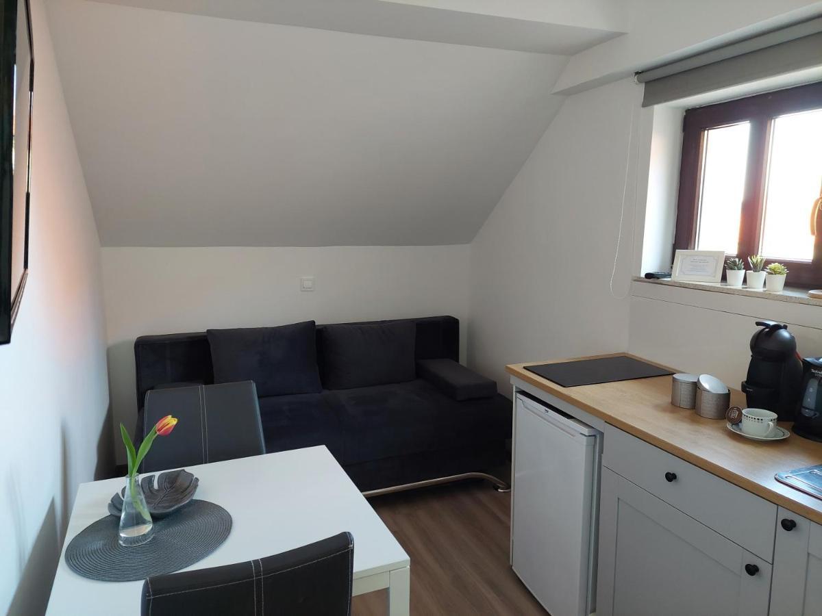 Apartment Trubarjeva33, Near Ljubljana, Free Parking Velike Lasce Dış mekan fotoğraf